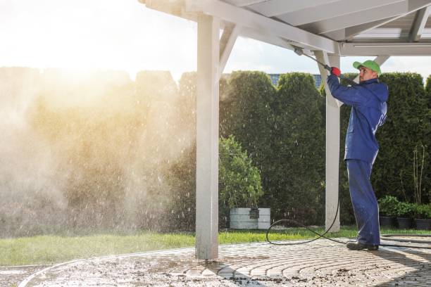 Animal Enclosure Cleaning in Iva, SC